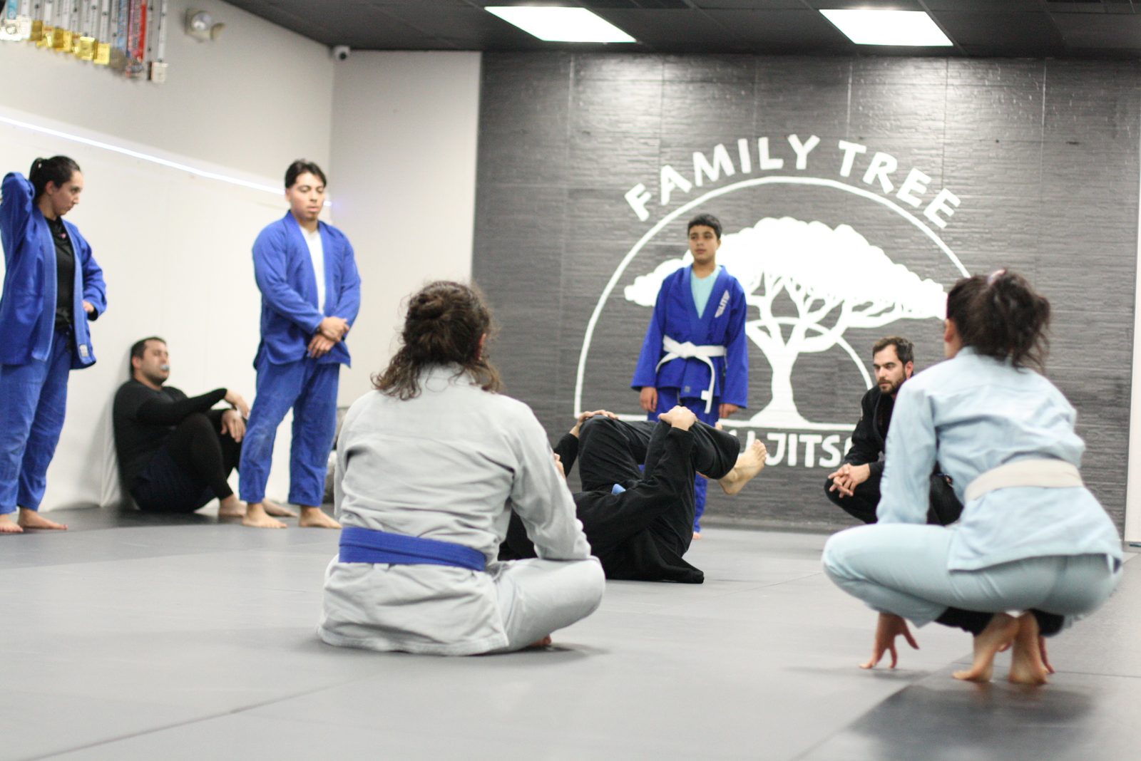 A round of sparring