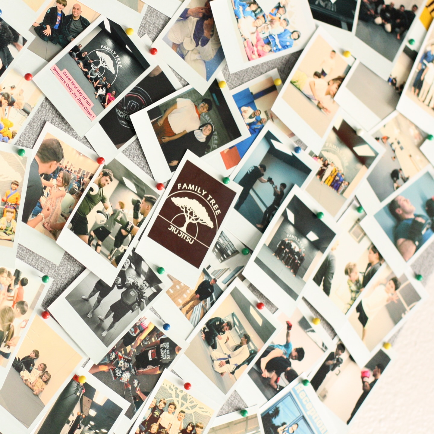 A pinned-up wall of photos from the Family Tree community